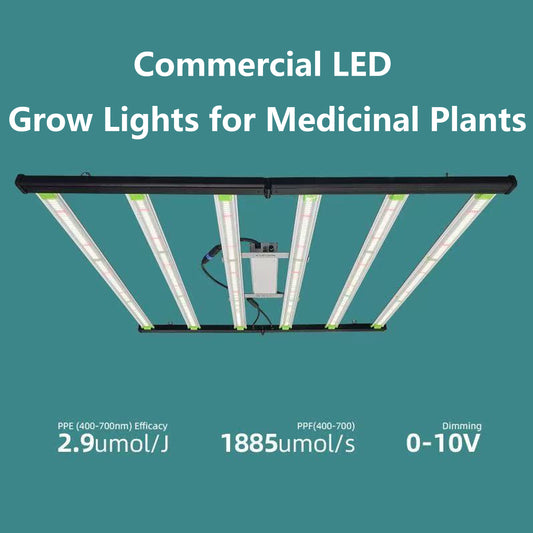 Large-scale commercial LED grow lights
