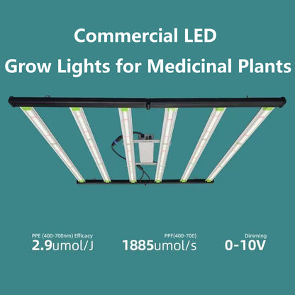Large-scale commercial LED grow lights
