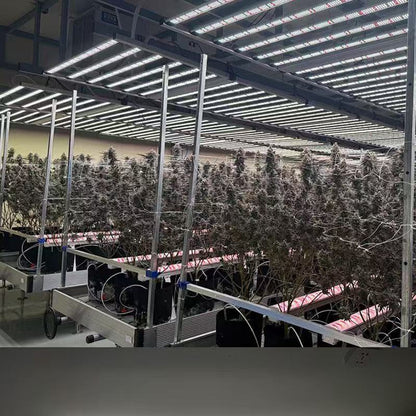 Large-scale commercial LED grow lights