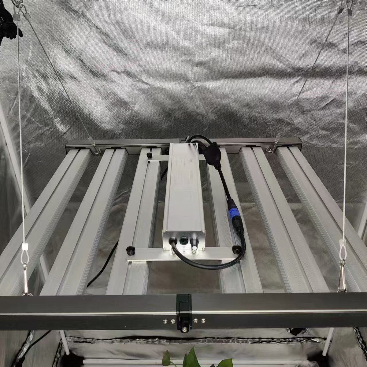 Full-spectrum supplemental plant grow light