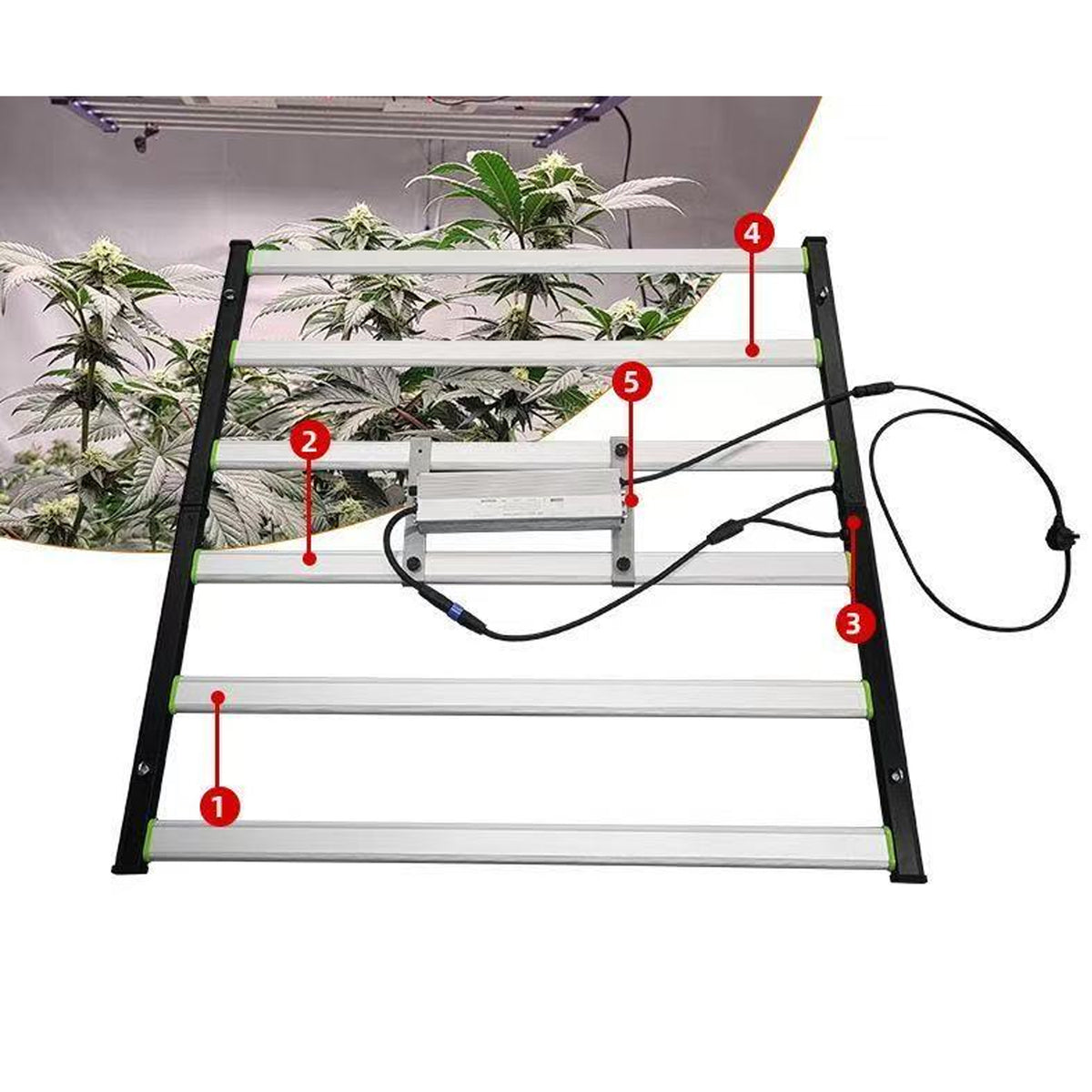 Large-scale commercial LED grow lights