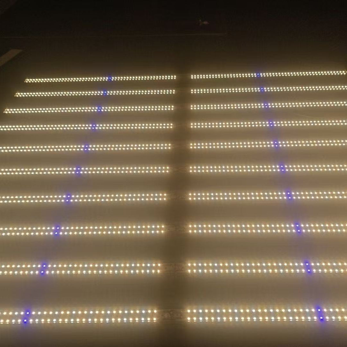Full-Spectrum LED Indoor Octopus-Style Plant Grow Light (Sunlight-Simulating)