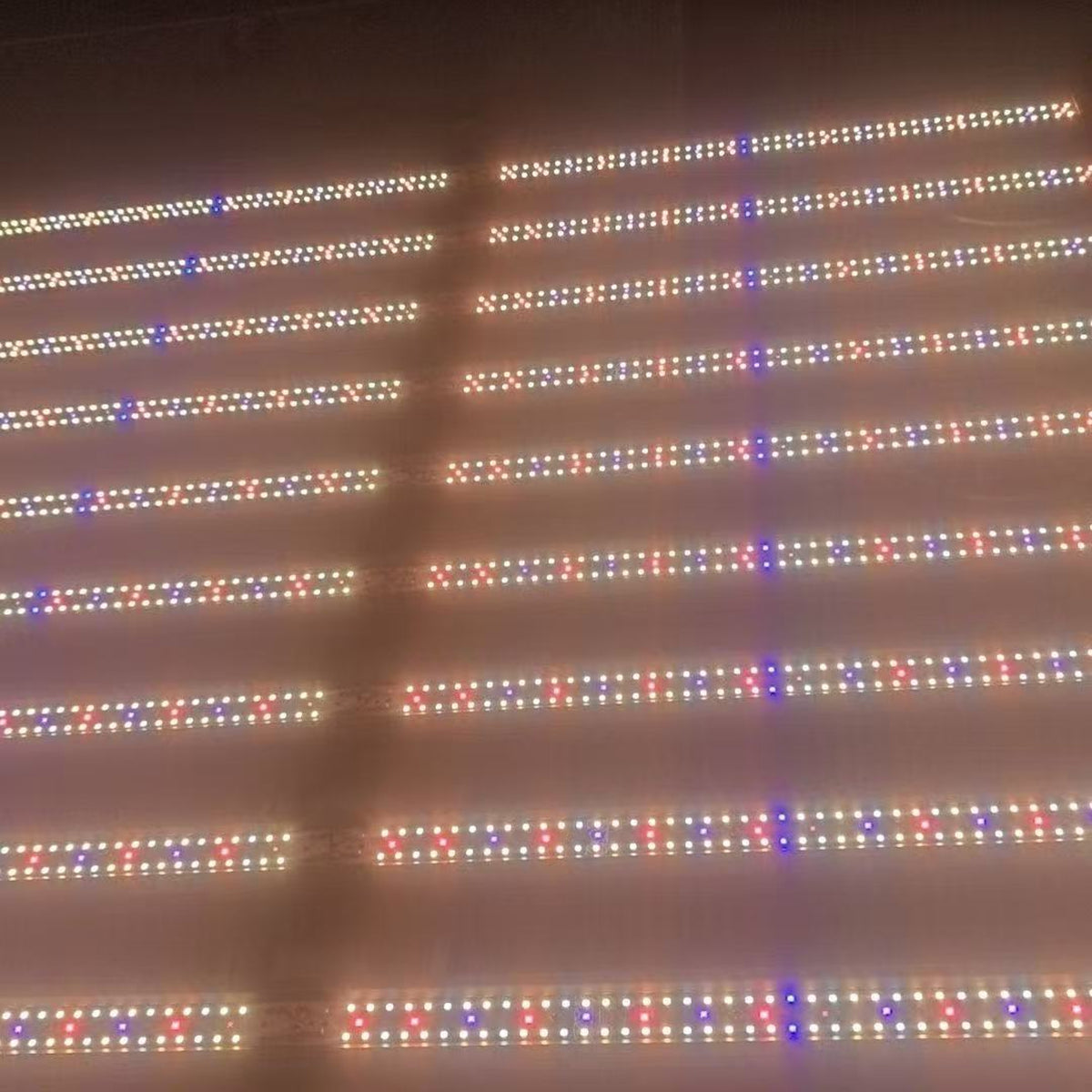 Full-Spectrum LED Indoor Octopus-Style Plant Grow Light (Sunlight-Simulating)
